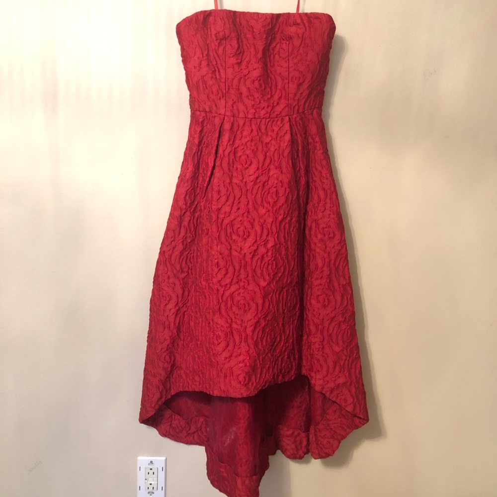 Monique Lhuillier dress